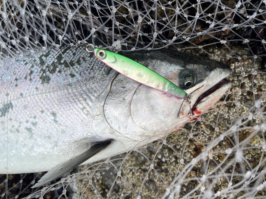 管釣り引退セット追加有ります！